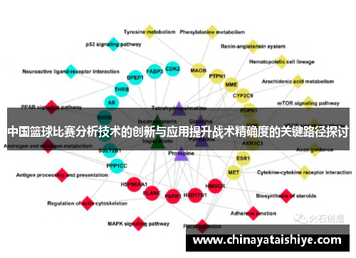 中国篮球比赛分析技术的创新与应用提升战术精确度的关键路径探讨