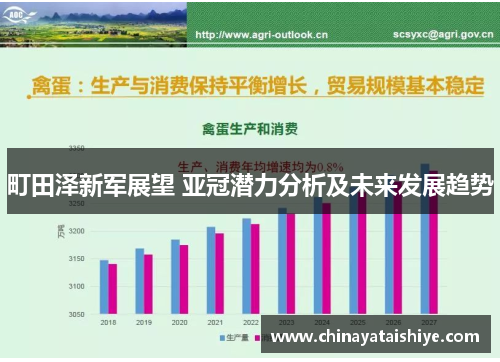 町田泽新军展望 亚冠潜力分析及未来发展趋势